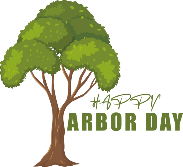 Transparent Arbor Day Tree Color Maple for Happy Arbor Day for Arbor Day