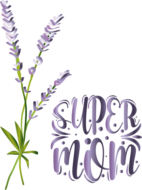 Transparent Mother's Day English lavender Lavender oil Flower for Super Mom for Mothers Day