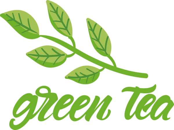 Transparent International Tea Day Leaf Plant stem Line for Tea Day for International Tea Day