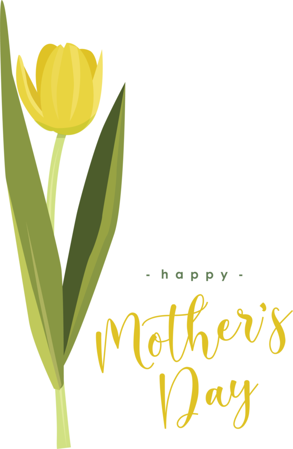 Transparent Mother's Day Plant stem Floral design Font for Happy Mother's Day for Mothers Day