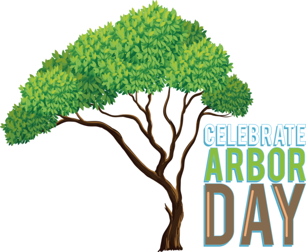 Transparent Arbor Day Tree Drawing Christmas Tree for Happy Arbor Day for Arbor Day