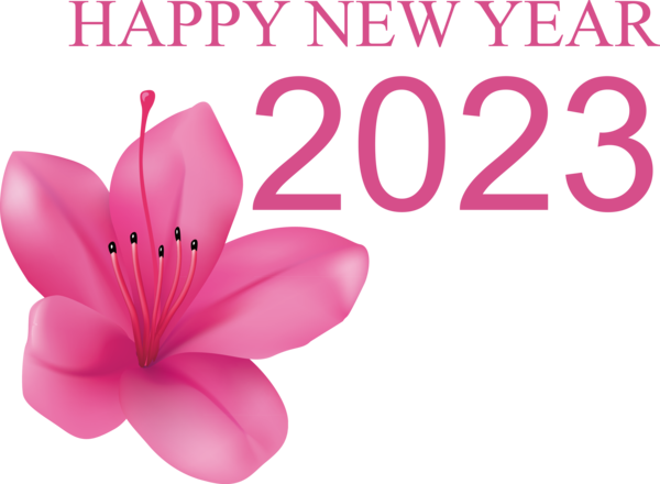 Transparent New Year Flower Cut flowers Miner Family Winery for Happy New Year 2023 for New Year