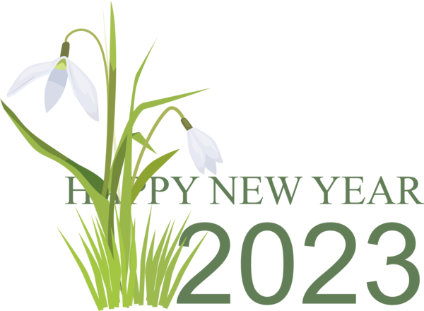 Transparent New Year Cut flowers Plant stem Floral design for Happy New Year 2023 for New Year
