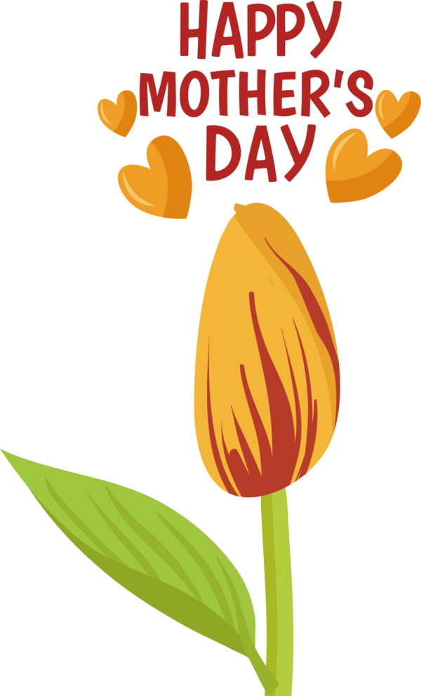 Transparent Mother's Day Plant stem Cut flowers Tulip for Happy Mother's Day for Mothers Day