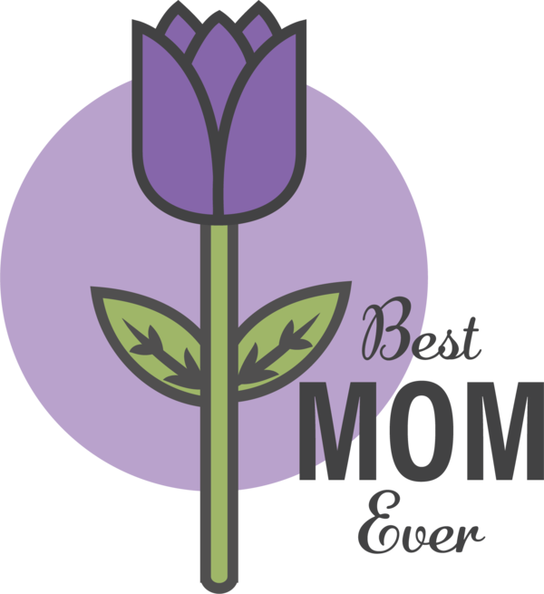 Transparent Mother's Day Flower Lavender Crocus for Happy Mother's Day for Mothers Day