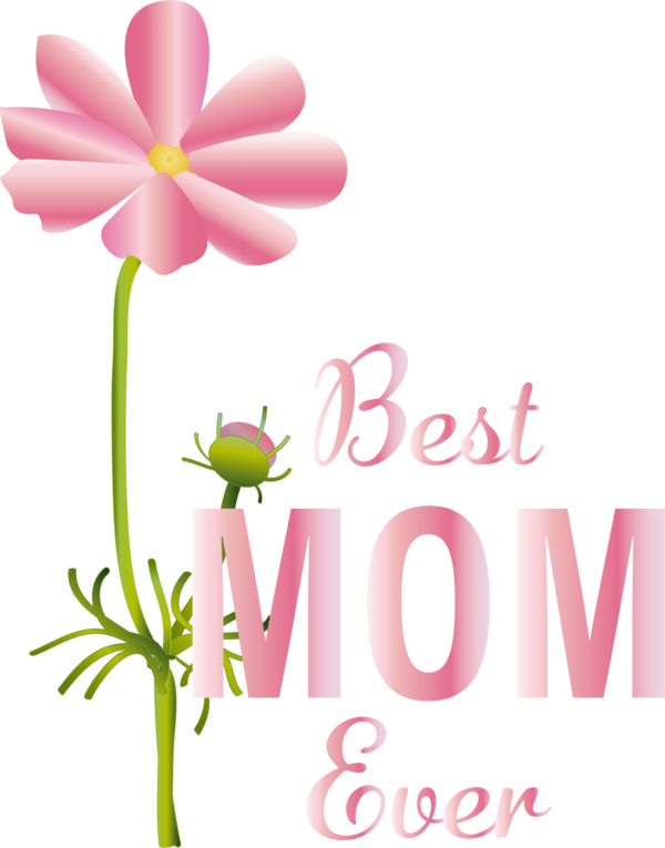 Transparent Mother's Day Cut flowers Cartoon Floral design for Happy Mother's Day for Mothers Day