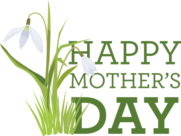 Transparent Mother's Day Flower SUNY Oneonta Plant stem for Happy Mother's Day for Mothers Day