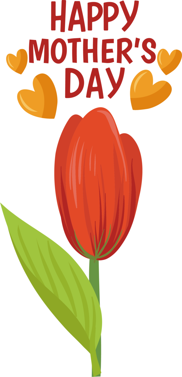 Transparent Mother's Day Plant stem Cut flowers Tulip for Happy Mother's Day for Mothers Day