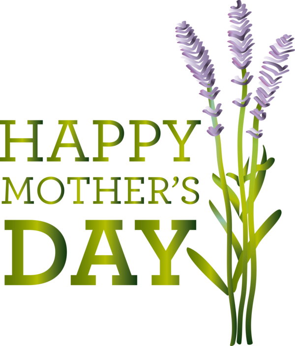 Transparent Mother's Day World Book Day Cut flowers Grasses for Happy Mother's Day for Mothers Day