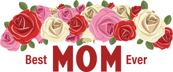 Transparent Mother's Day Garden roses Rose Flower for Super Mom for Mothers Day