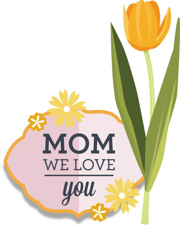 Transparent Mother's Day Cut flowers Floral design Flower for Love You Mom for Mothers Day