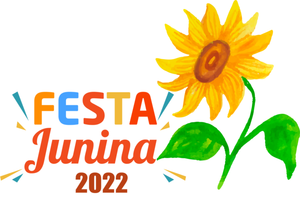 Transparent Festa Junina Cut flowers Plant stem Daisy family for Brazilian Festa Junina for Festa Junina