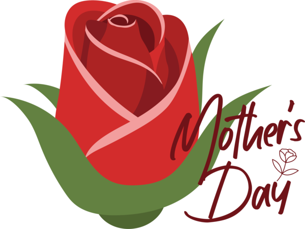 Transparent holidays Garden roses Floral design Rose for Mothers Day for Holidays