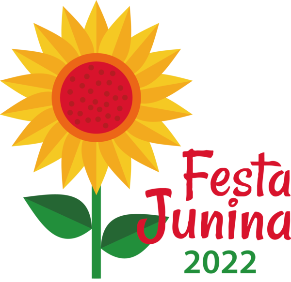 Transparent Festa Junina Dahlia Sunflower seed Sunflowers for Brazilian Festa Junina for Festa Junina