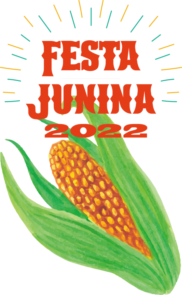 Transparent Festa Junina Natural food Vegetable Superfood for Brazilian Festa Junina for Festa Junina