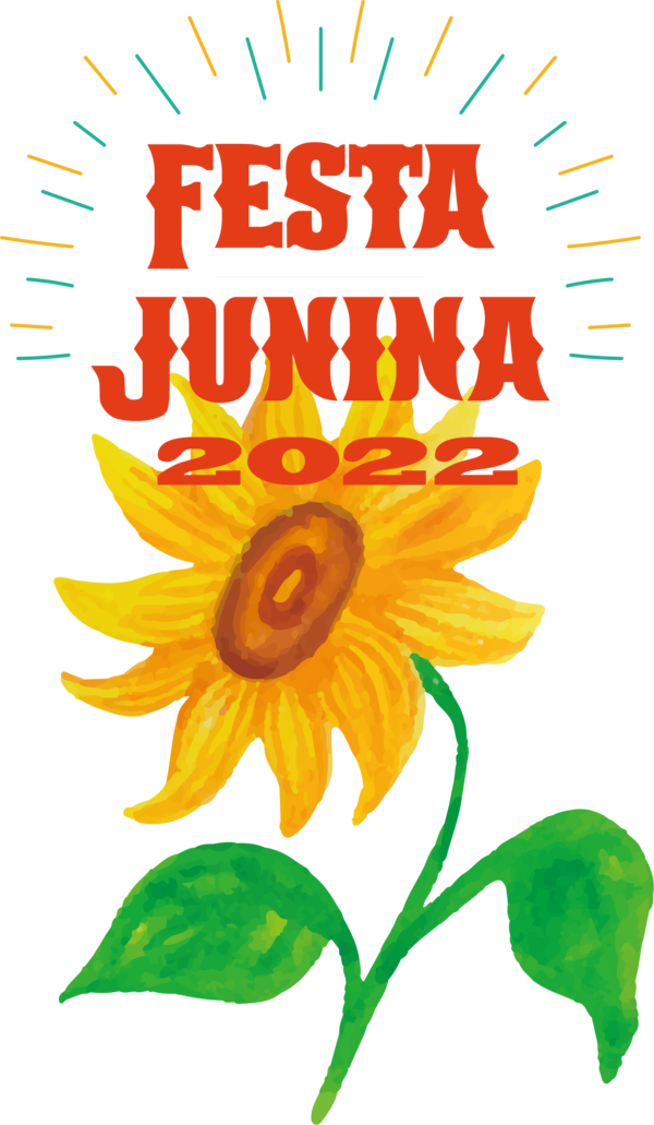Transparent Festa Junina Floral design Daisy family Sunflower seed for Brazilian Festa Junina for Festa Junina