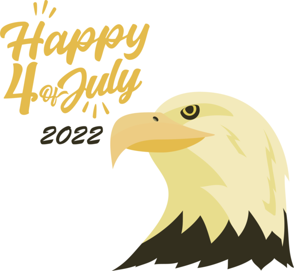 Transparent US Independence Day Bald eagle Birds Eagle for 4th Of July for Us Independence Day