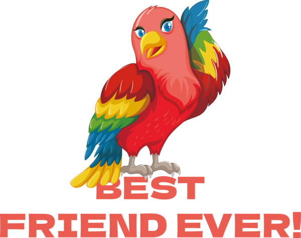 Transparent International Friendship Day Birds Parrots Macaw for Friendship Day for International Friendship Day