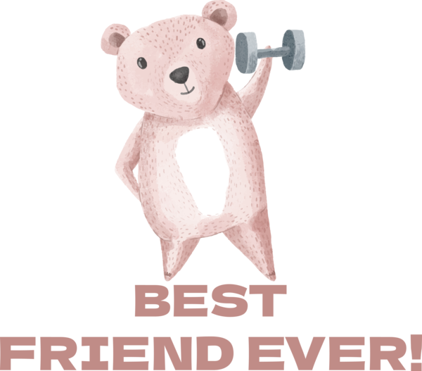Transparent International Friendship Day Bears Vermont Teddy Bear Teddy bear for Friendship Day for International Friendship Day