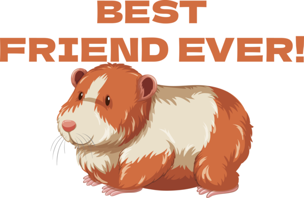 Transparent International Friendship Day Rodents Guinea pig Muroids for Friendship Day for International Friendship Day