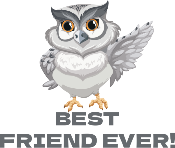 Transparent International Friendship Day Snowy owl Owls Birds for Friendship Day for International Friendship Day