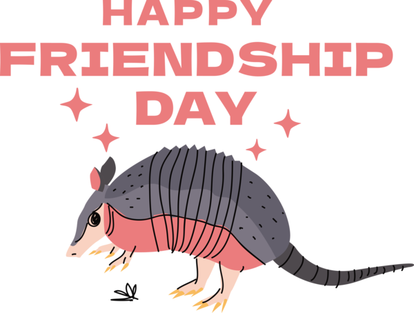 Transparent International Friendship Day Cingulata Armadillos Cartoon for Friendship Day for International Friendship Day