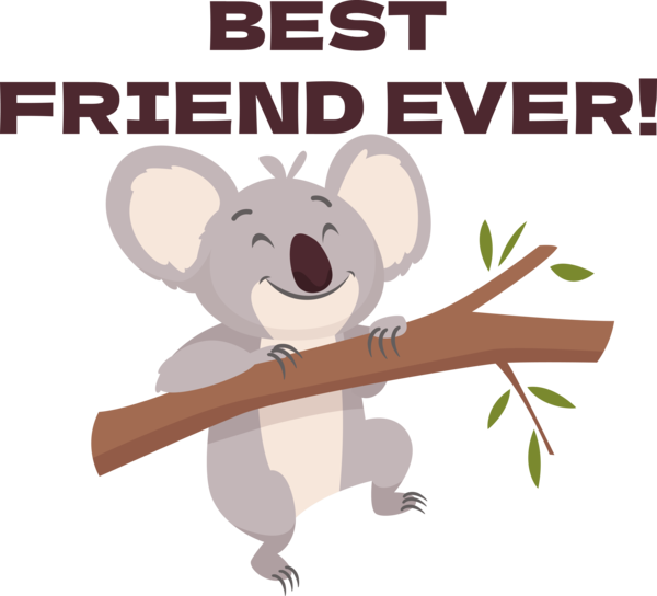 Transparent International Friendship Day Australia Bears Koala for Friendship Day for International Friendship Day
