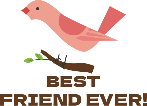 Transparent International Friendship Day Birds Logo Beak for Friendship Day for International Friendship Day