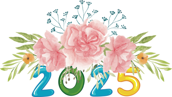 Transparent New Year Flower Carnation Flower bouquet for Happy New Year 2025 for New Year