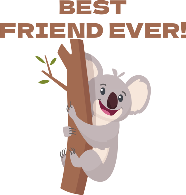 Transparent International Friendship Day Koala Marsupials Bears for Friendship Day for International Friendship Day
