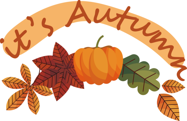 Transparent thanksgiving Leaf Drawing Flower for Hello Autumn for Thanksgiving