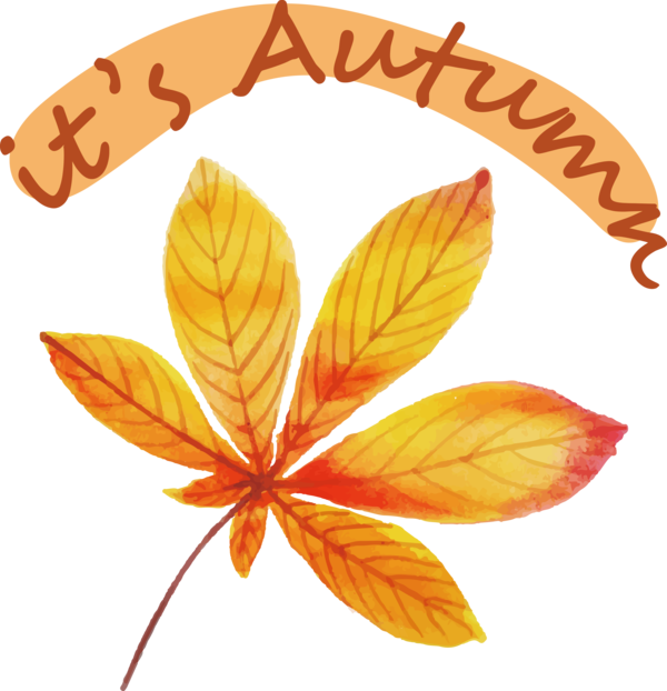 Transparent thanksgiving Leaf Font Petal for Hello Autumn for Thanksgiving