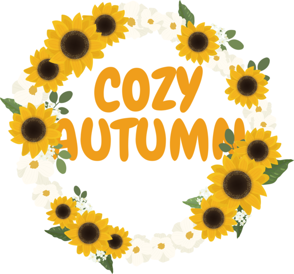 Transparent thanksgiving Common sunflower Design Drawing for Hello Autumn for Thanksgiving