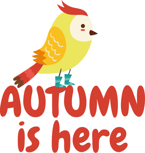 Transparent thanksgiving Birds Beak Text for Hello Autumn for Thanksgiving