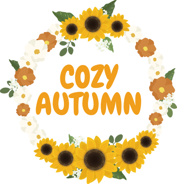 Transparent thanksgiving Common sunflower Design Drawing for Hello Autumn for Thanksgiving