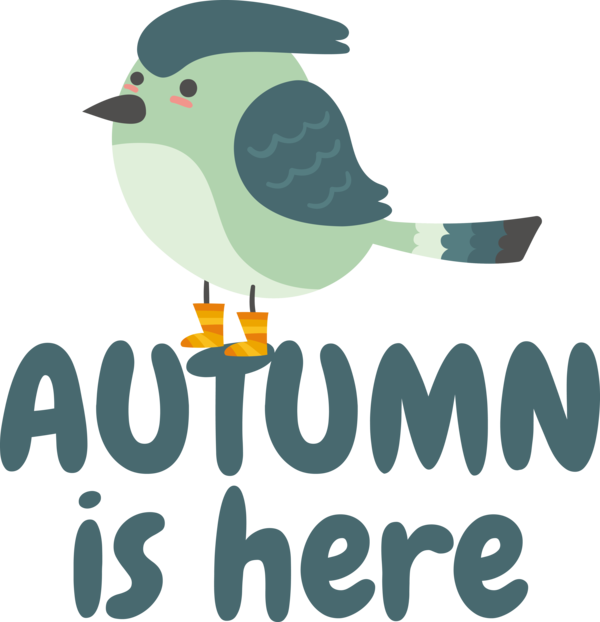 Transparent thanksgiving Birds Logo Design for Hello Autumn for Thanksgiving