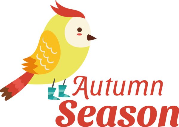 Transparent thanksgiving Birds Artie Abrams Logo for Hello Autumn for Thanksgiving
