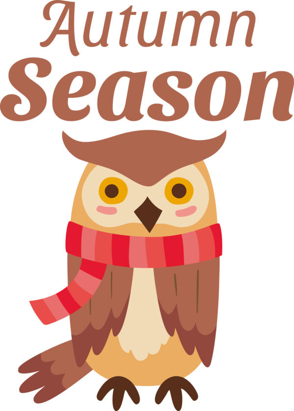 Transparent thanksgiving Owls Birds Drawing for Hello Autumn for Thanksgiving