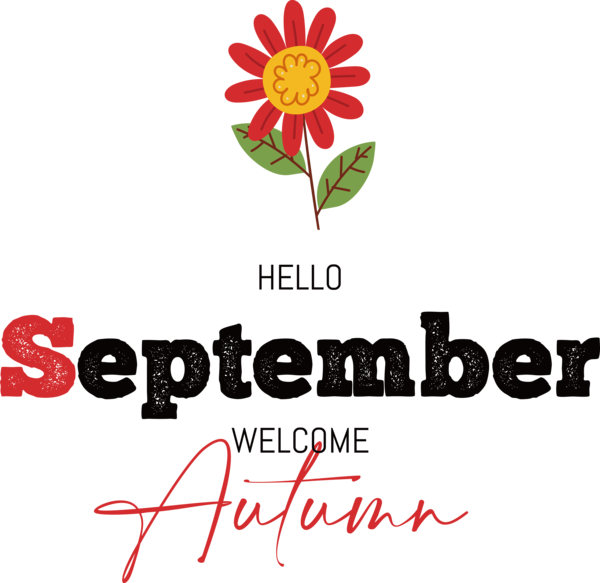 Transparent thanksgiving Cut flowers Logo Floral design for Hello Autumn for Thanksgiving