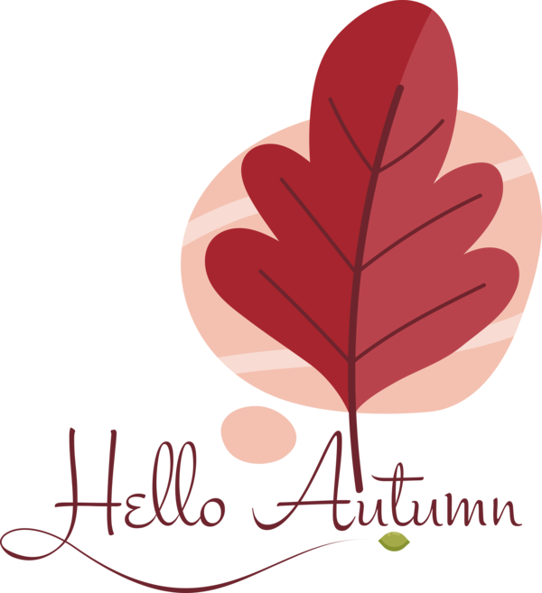 Transparent thanksgiving Leaf Petal Valentine's Day for Hello Autumn for Thanksgiving