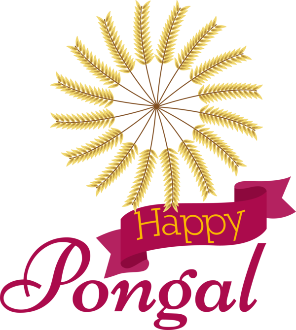 Transparent pongal pongal happy pongal for happy pongal for Pongal