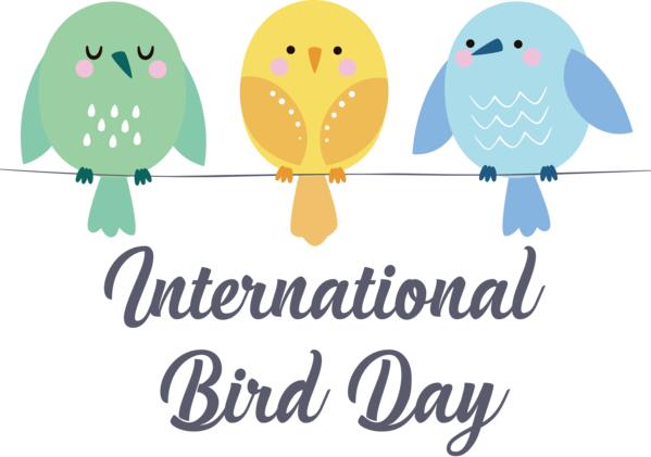 Transparent Bird Day Bird Day Happy Bird Day Bird for Happy Bird Day for Bird Day