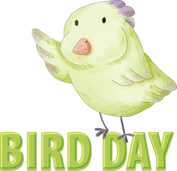 Transparent Bird Day International Bird Day Bird Day Bird for Happy Bird Day for Bird Day