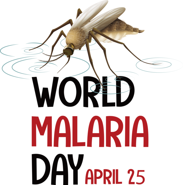 Transparent World Malaria Day World Malaria Day Malaria Day for Malaria Day for World Malaria Day