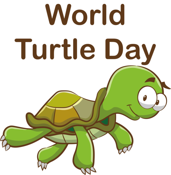 Transparent World Turtle Day World Turtle Day Turtle Day Turtle for Turtle Day for World Turtle Day