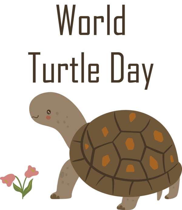 Transparent World Turtle Day World Turtle Day Turtle Day Turtle for Turtle Day for World Turtle Day