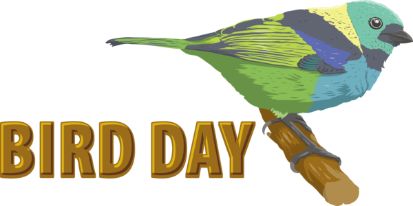 Transparent Bird Day International Bird Day Bird Day Bird for Happy Bird Day for Bird Day
