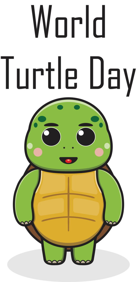 Transparent World Turtle Day World Turtle Day Turtle Day Turtle for Turtle Day for World Turtle Day