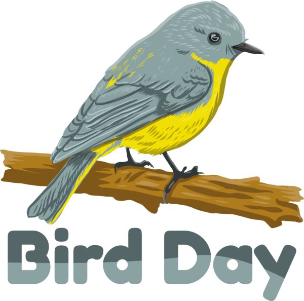 Transparent Bird Day Bird Day World Bird Day for Happy Bird Day for Bird Day