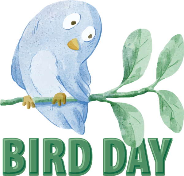 Transparent Bird Day Bird Day for Happy Bird Day for Bird Day